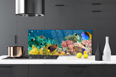 Painel cozinha Natureza dos recifes de corais