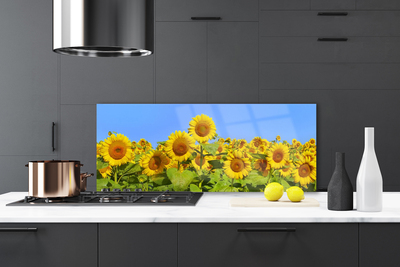 Painel vidro cozinha Planta de flor de girassol
