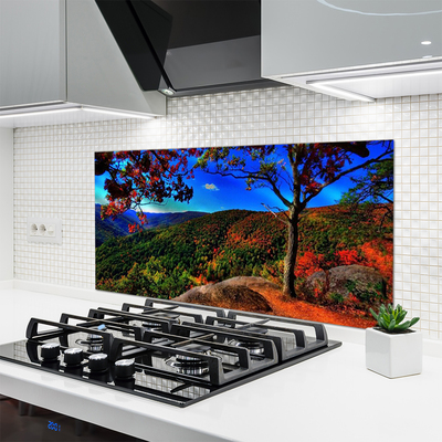 Painel cozinha Natureza da Floresta da Montanha