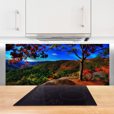 Painel cozinha Natureza da Floresta da Montanha