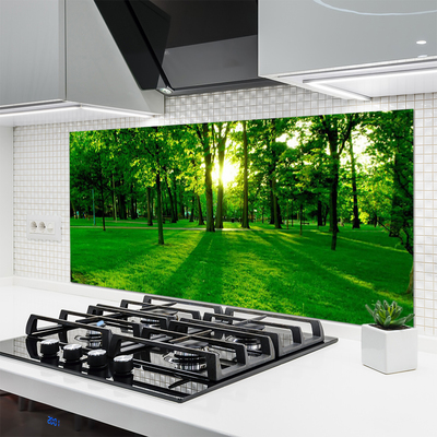 Painel cozinha Parque Florestal Natureza