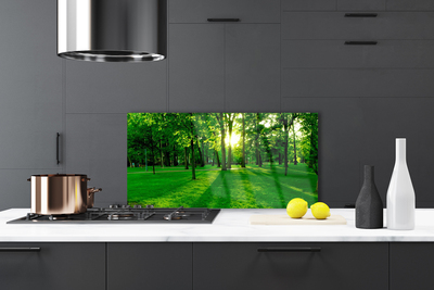 Painel cozinha Parque Florestal Natureza