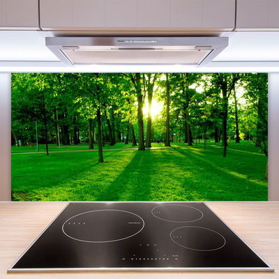 Painel cozinha Parque Florestal Natureza