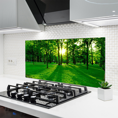 Painel cozinha Parque Florestal Natureza