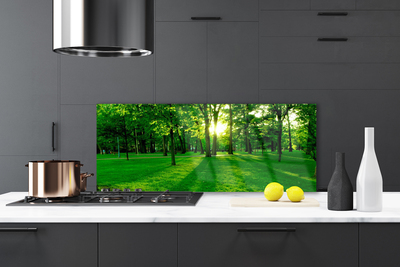 Painel cozinha Parque Florestal Natureza