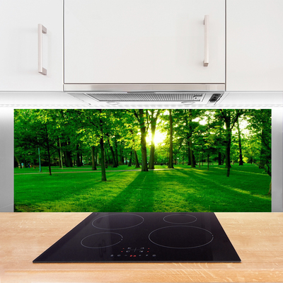 Painel cozinha Parque Florestal Natureza