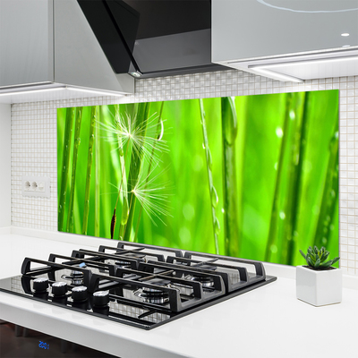 Painel vidro cozinha Natureza da planta grama