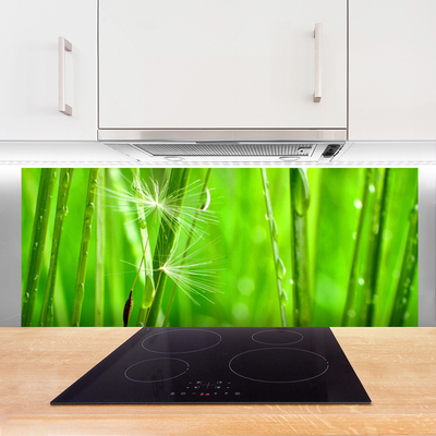 Painel vidro cozinha Natureza da planta grama