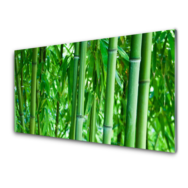 Painel cozinha Planta de caule de bambu