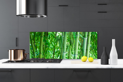 Painel cozinha Planta de caule de bambu