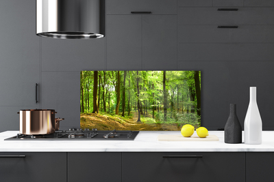 Painel vidro cozinha Trilha da Natureza da Floresta