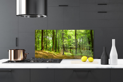 Painel vidro cozinha Trilha da Natureza da Floresta
