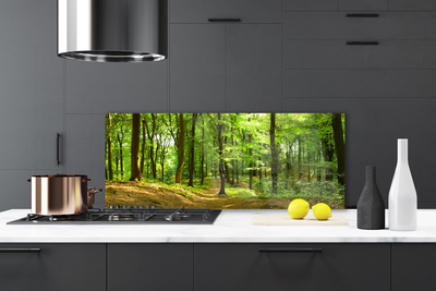 Painel vidro cozinha Trilha da Natureza da Floresta