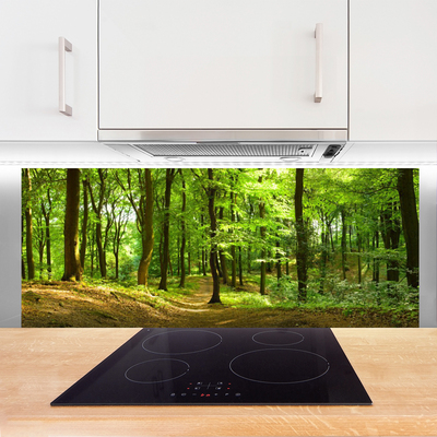 Painel vidro cozinha Trilha da Natureza da Floresta