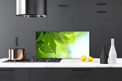 Painel cozinha Folhas Natureza Planta