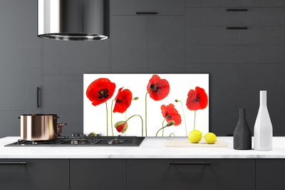 Painel vidro cozinha Papoulas Plantam Natureza