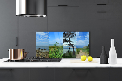 Painel vidro cozinha Paisagem de árvores de praia