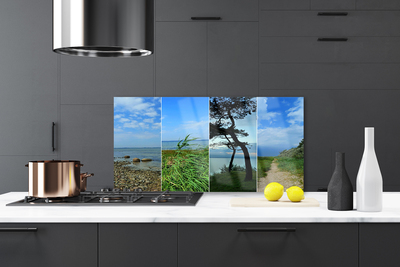 Painel vidro cozinha Paisagem de árvores de praia