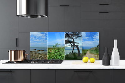 Painel vidro cozinha Paisagem de árvores de praia