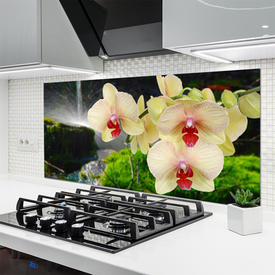 Painel vidro cozinha Árvores Natureza Planta