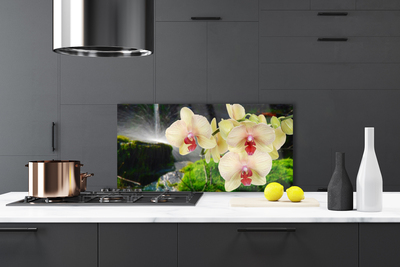 Painel vidro cozinha Árvores Natureza Planta