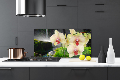 Painel vidro cozinha Árvores Natureza Planta