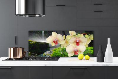 Painel vidro cozinha Árvores Natureza Planta