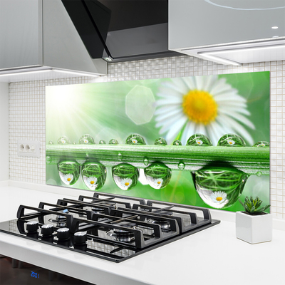 Painel cozinha Orvalho Margarida Folha Natureza