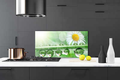 Painel cozinha Orvalho Margarida Folha Natureza