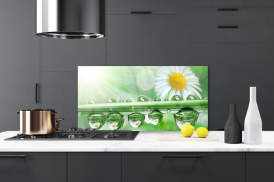 Painel cozinha Orvalho Margarida Folha Natureza