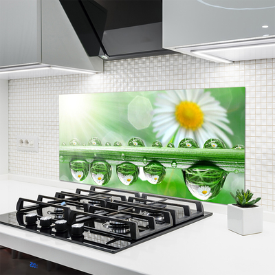 Painel cozinha Orvalho Margarida Folha Natureza