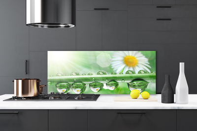 Painel cozinha Orvalho Margarida Folha Natureza