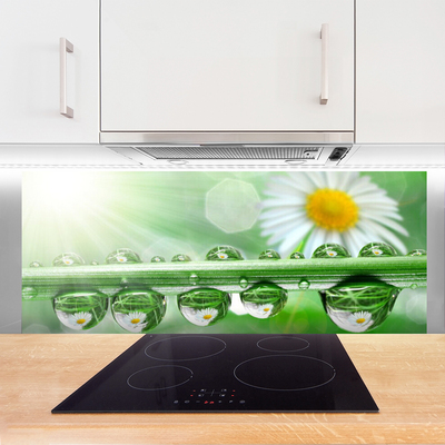 Painel cozinha Orvalho Margarida Folha Natureza