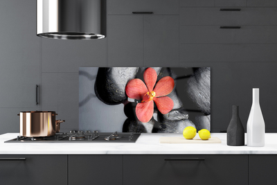 Painel vidro cozinha Arte em Pedras de Flores