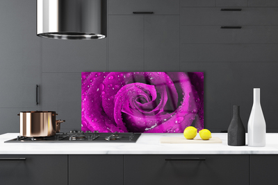 Painel vidro cozinha Rosa Flor Planta Natureza