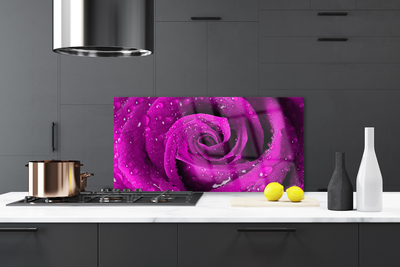 Painel vidro cozinha Rosa Flor Planta Natureza