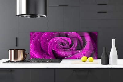 Painel vidro cozinha Rosa Flor Planta Natureza