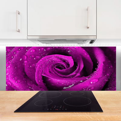 Painel vidro cozinha Rosa Flor Planta Natureza