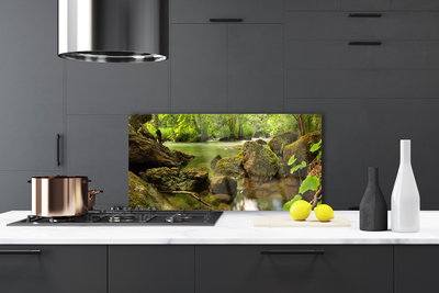 Painel cozinha Natureza do Lago Rock