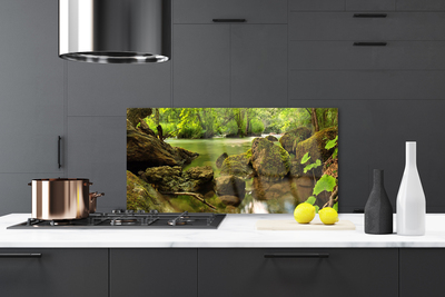 Painel cozinha Natureza do Lago Rock