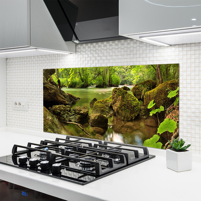 Painel cozinha Natureza do Lago Rock