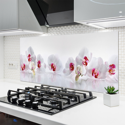 Painel vidro cozinha Flores Planta Natureza