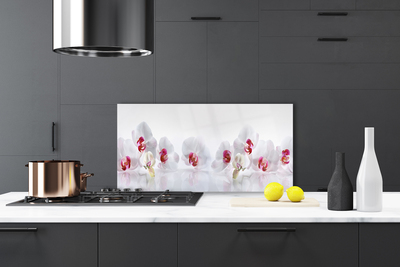 Painel vidro cozinha Flores Planta Natureza