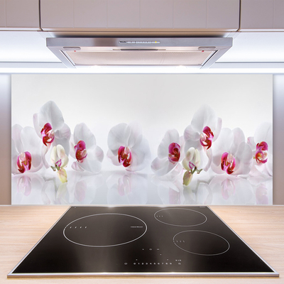 Painel vidro cozinha Flores Planta Natureza