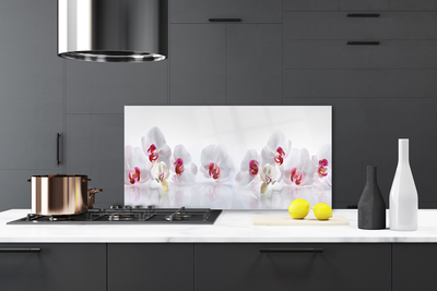 Painel vidro cozinha Flores Planta Natureza