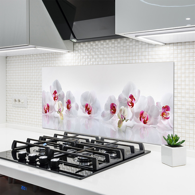 Painel vidro cozinha Flores Planta Natureza