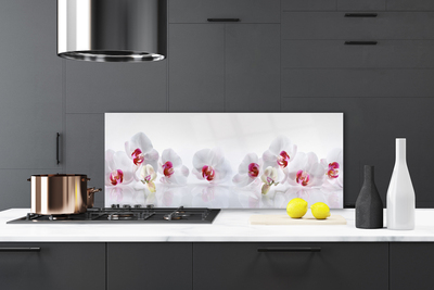 Painel vidro cozinha Flores Planta Natureza