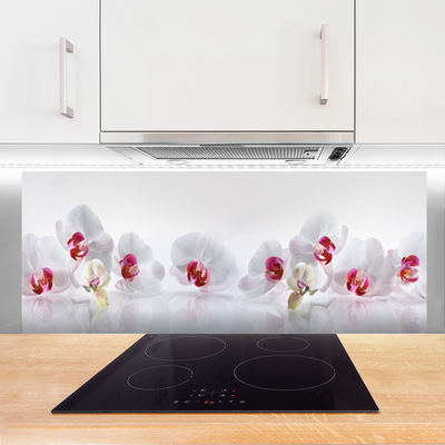 Painel vidro cozinha Flores Planta Natureza