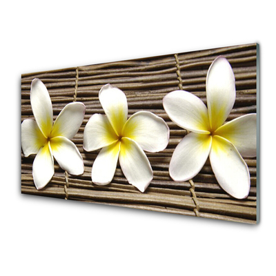 Painel cozinha Flores Planta Natureza