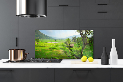 Painel vidro cozinha Prado da Natureza